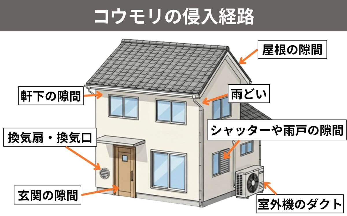 コウモリの侵入経路を塞ぐ