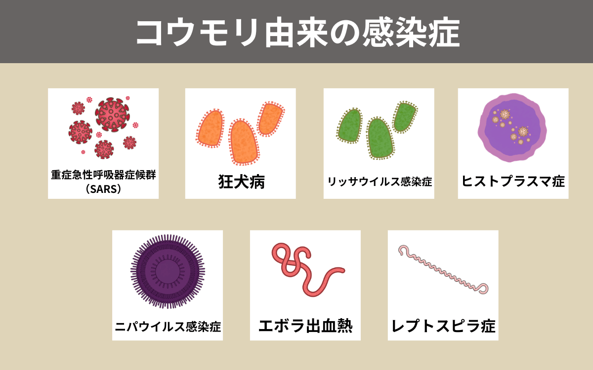 コウモリ由来の感染症