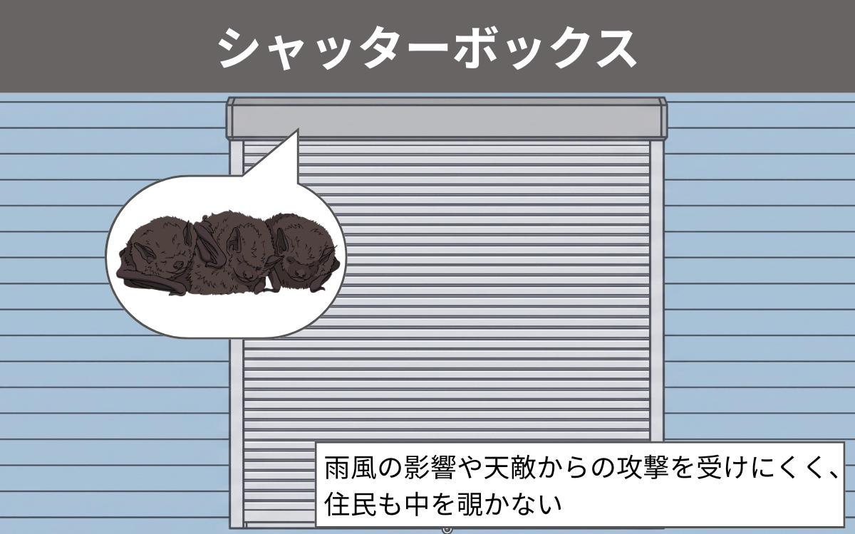 シャッターボックス