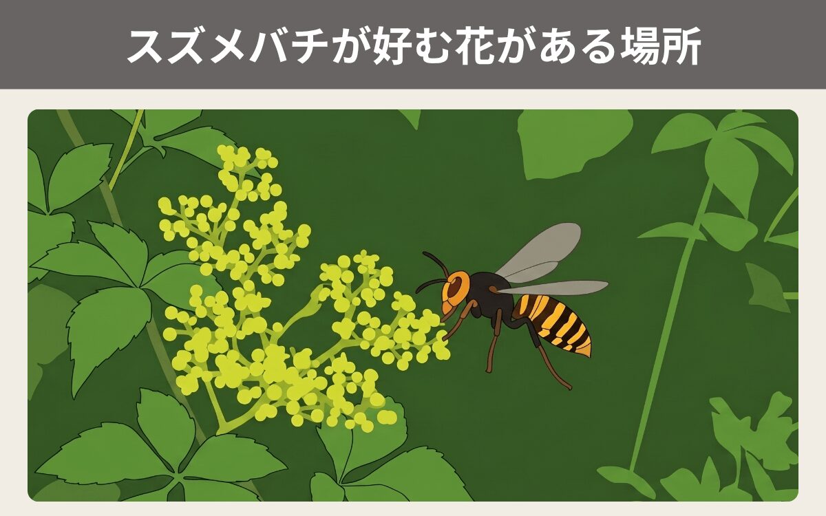 スズメバチが好む花がある場所