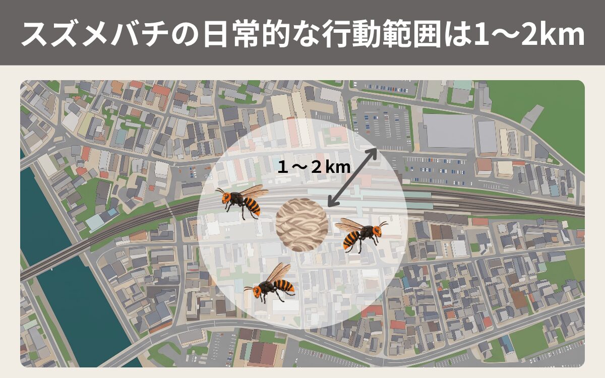 スズメバチの日常的な行動範囲は1～2km