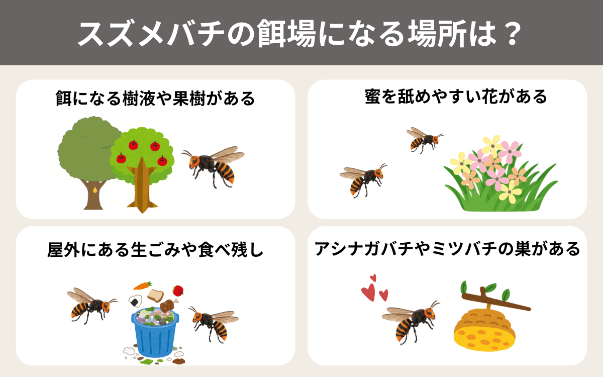 スズメバチの餌場になる場所は？