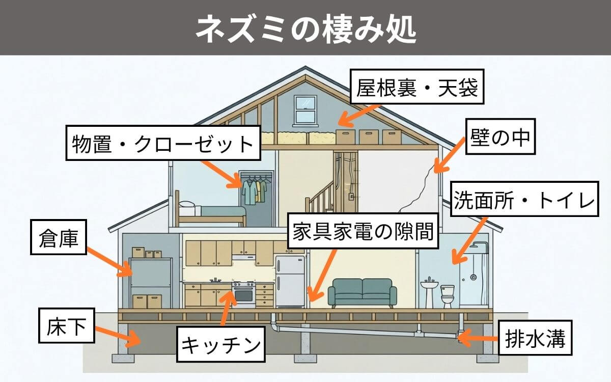 ネズミが棲みつきやすい場所