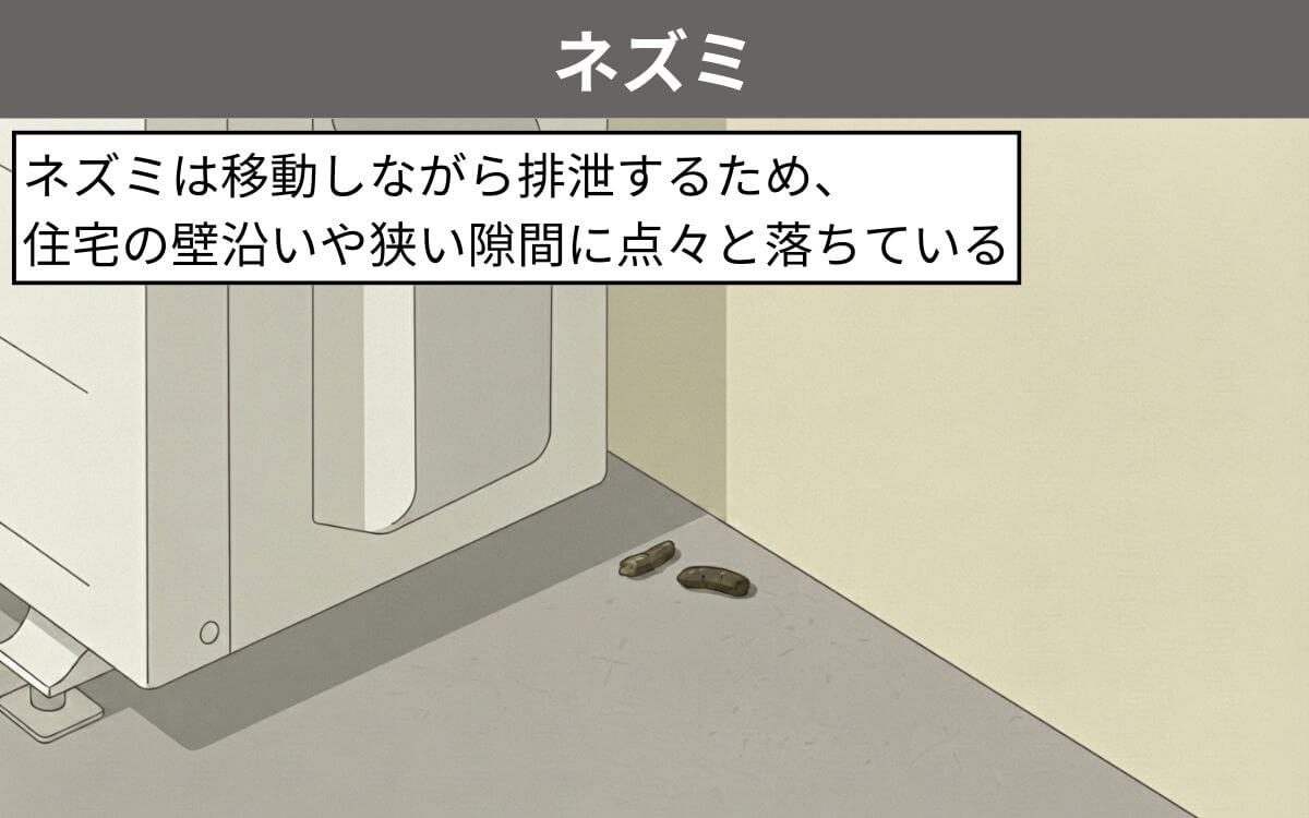 ネズミのフンが落ちている場所