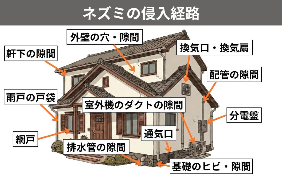 ネズミの侵入経路