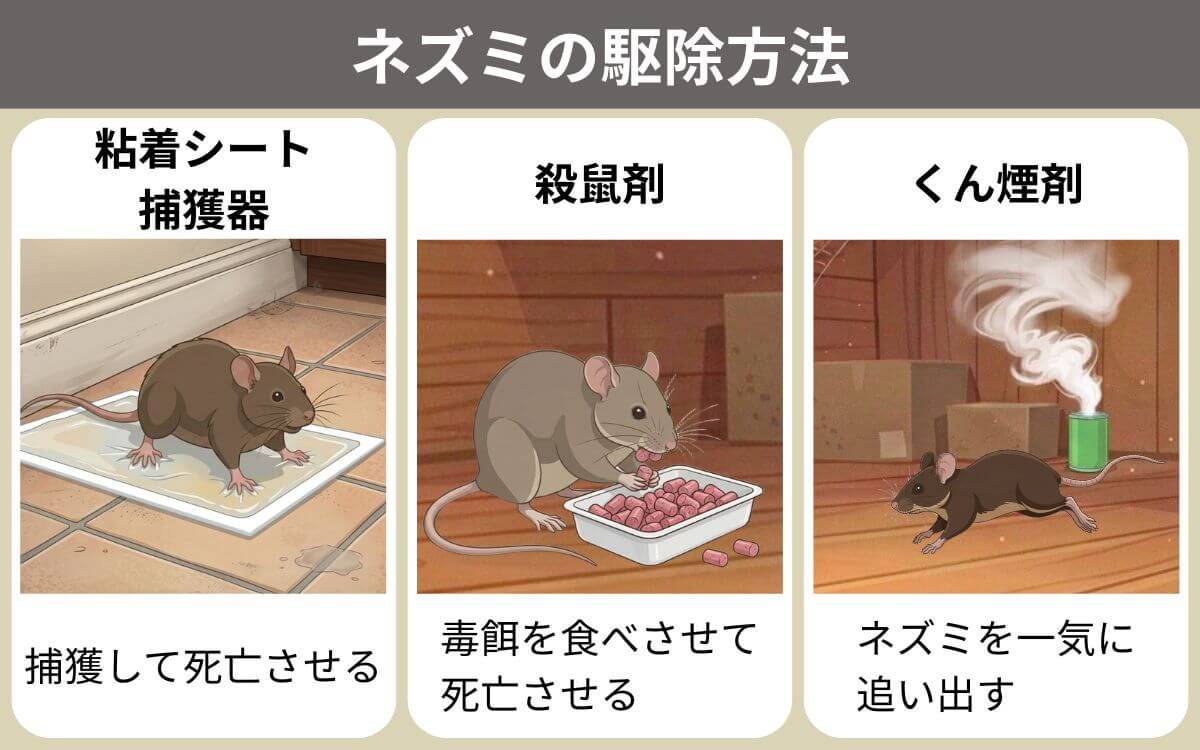 ネズミの駆除方法