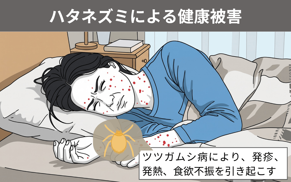 ハタネズミによる健康被害