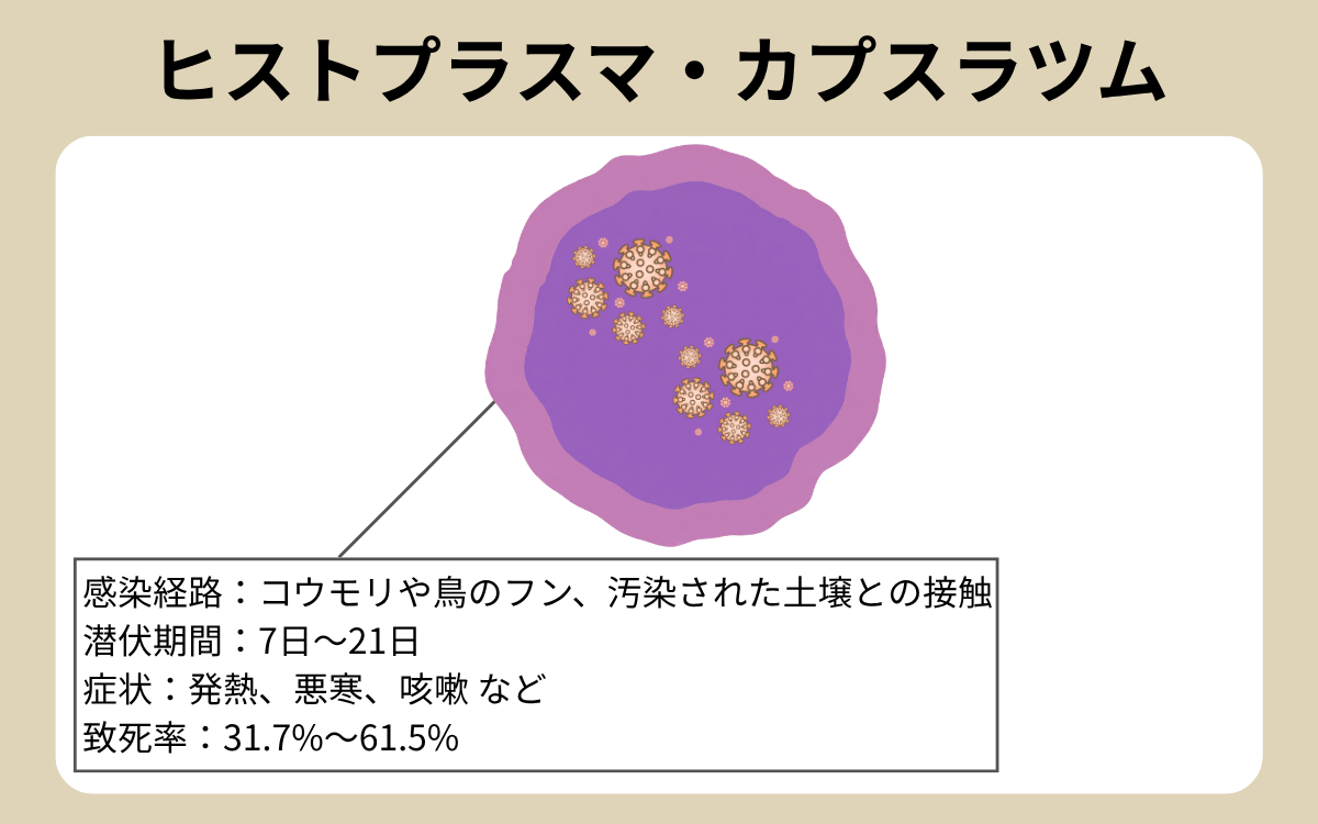 ヒストプラスマ・カプスラツム