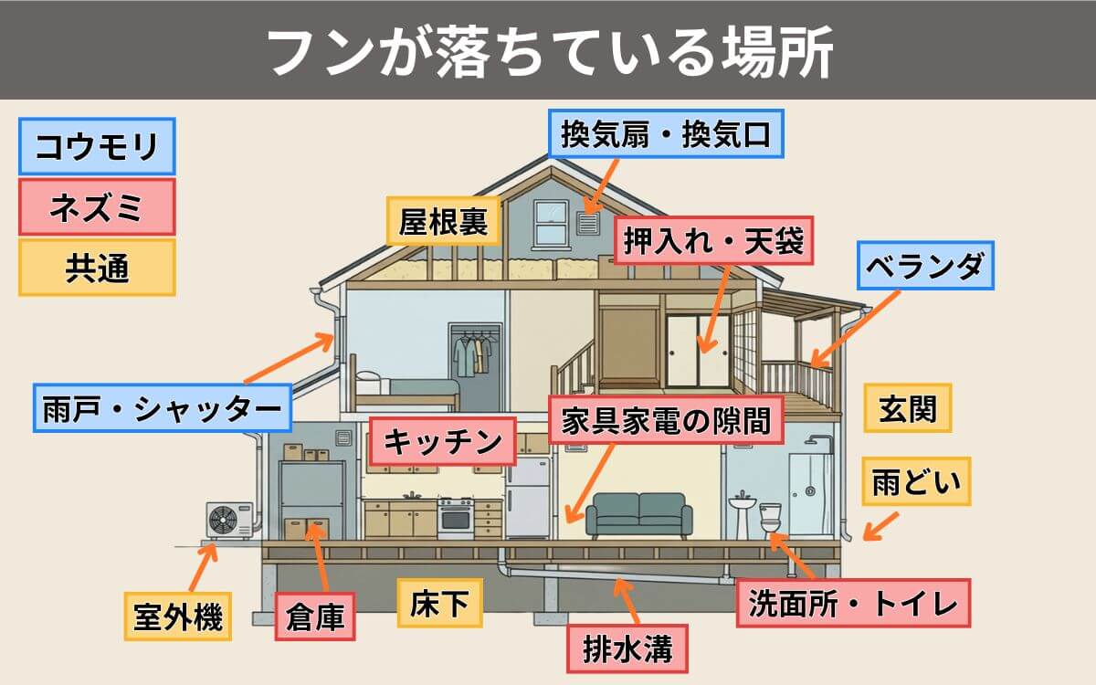 フンが落ちている場所