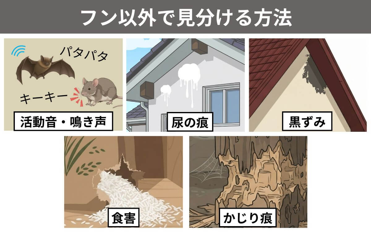 フン以外で見分ける方法