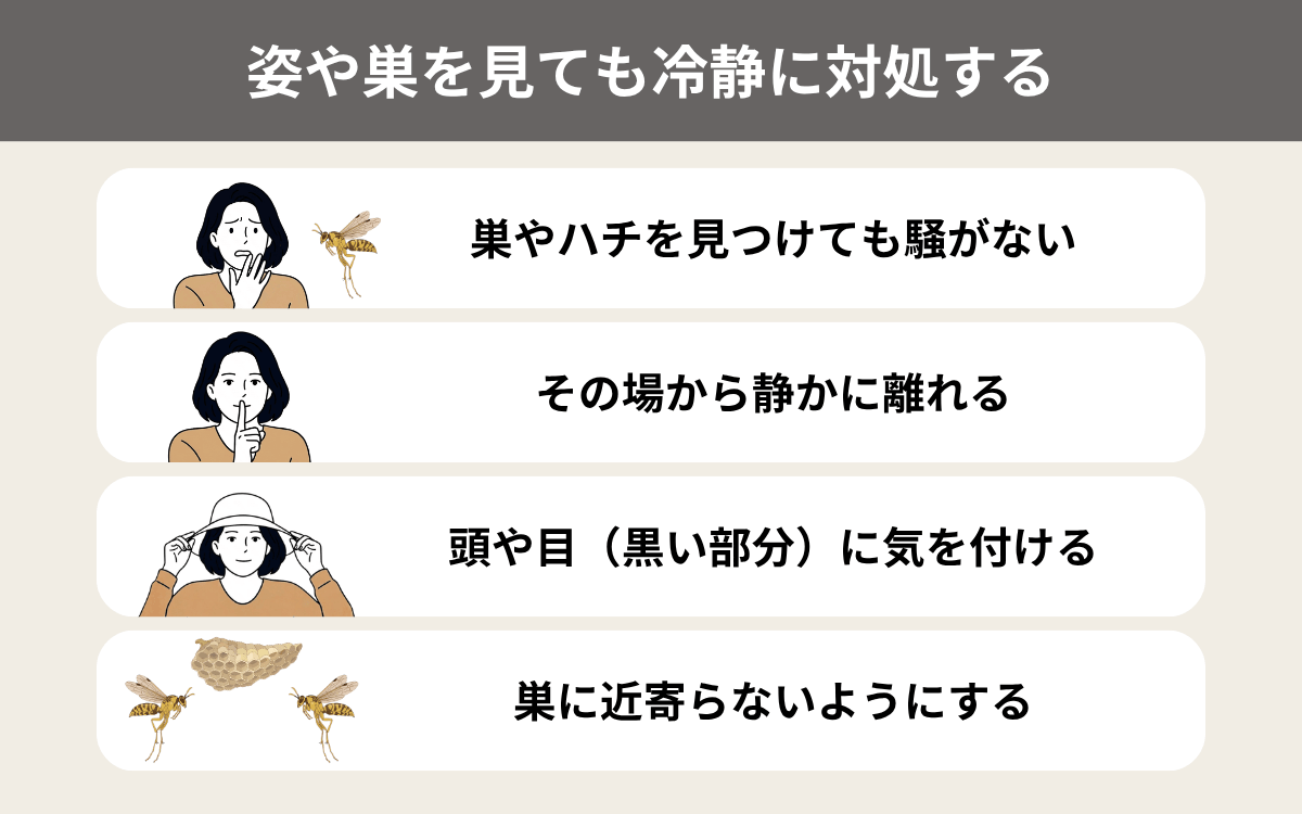 ムモンホソアシナガバチの姿や巣を見ても冷静に対処する
