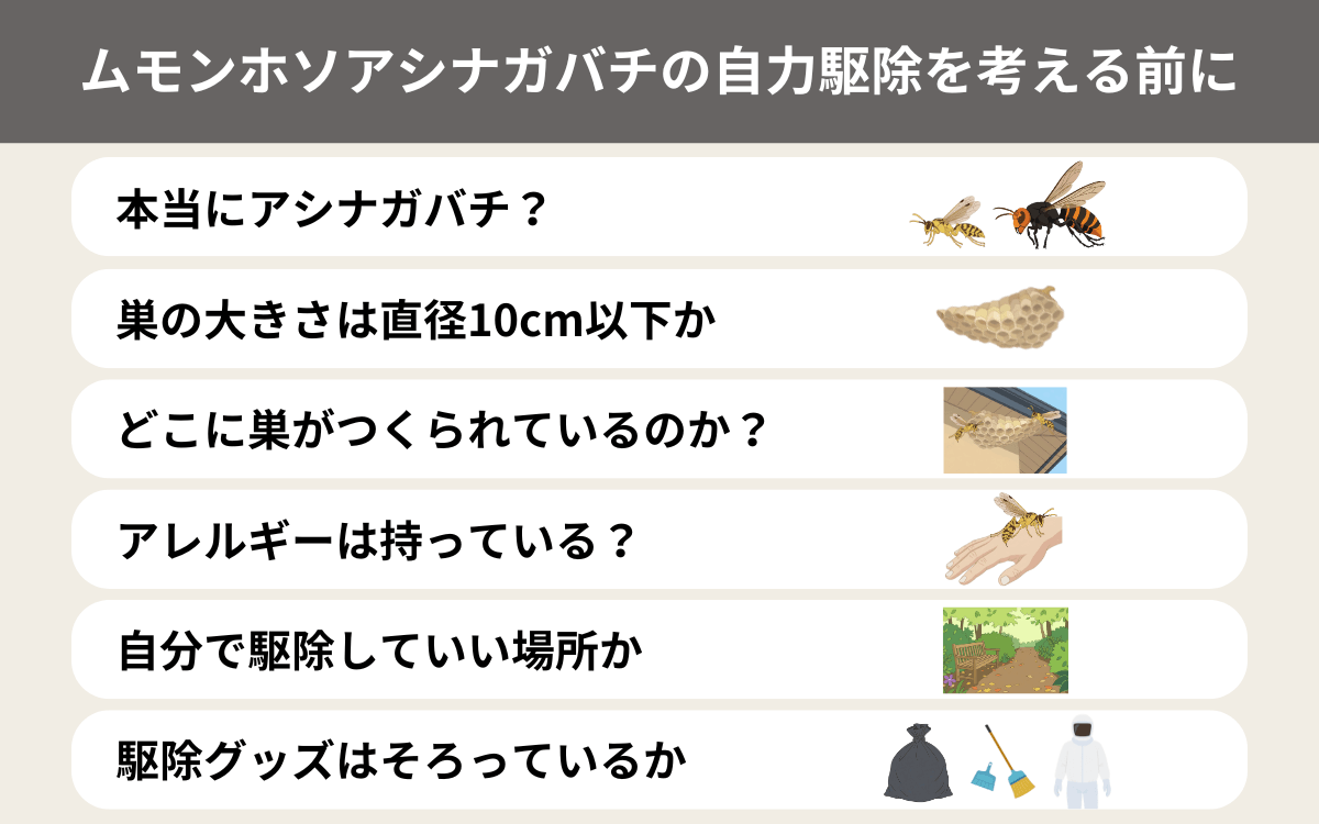 ムモンホソアシナガバチの自力駆除を考える前に