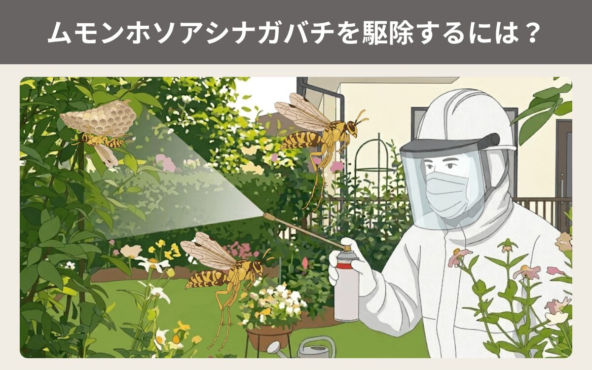ムモンホソアシナガバチを駆除するには？