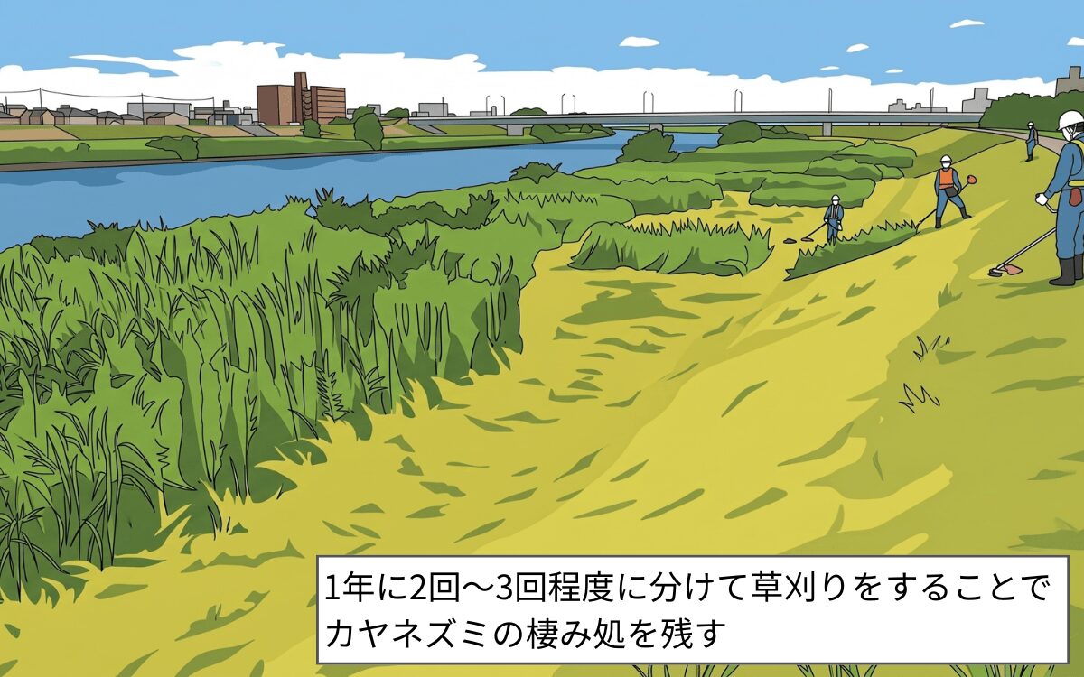 保全活動①草刈り頻度を増やす
