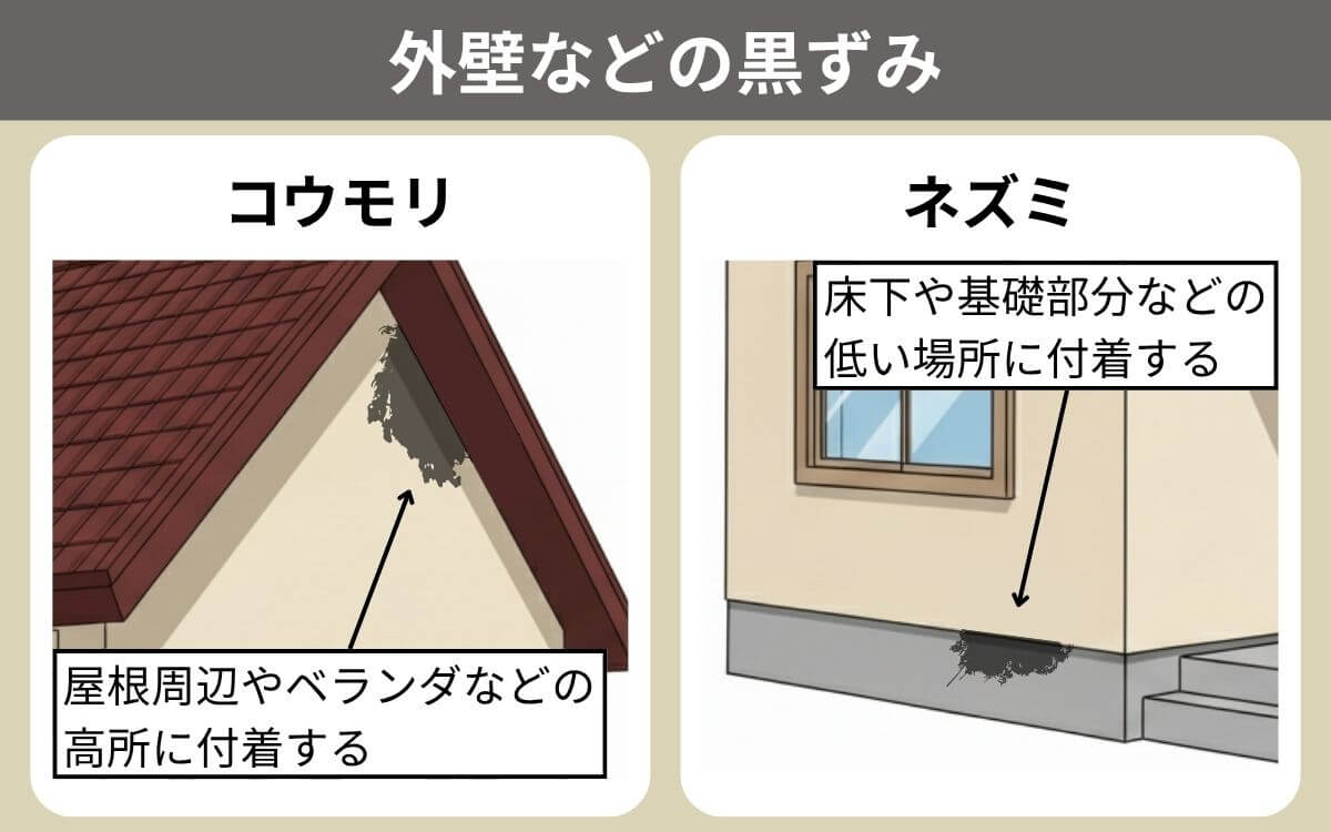 外壁などの黒ずみ
