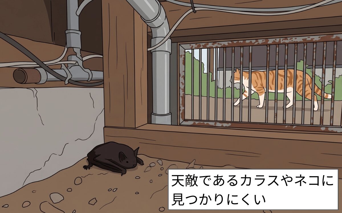 天敵から身を隠す