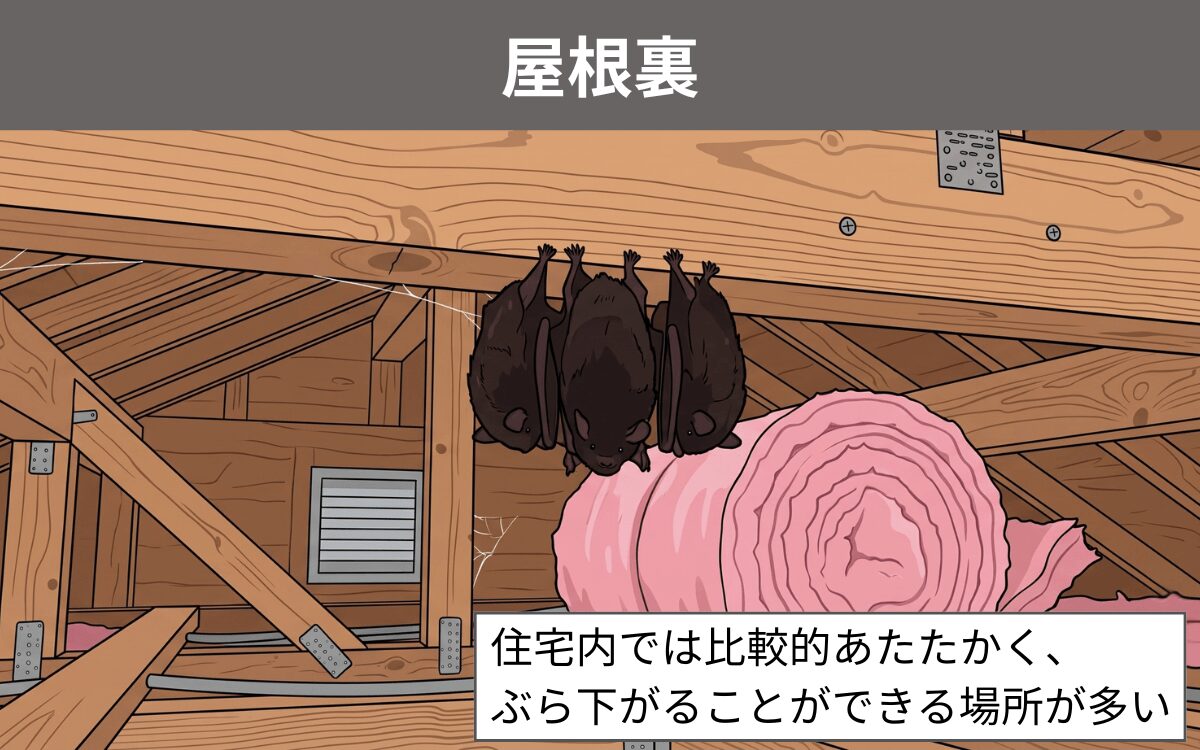 屋根裏