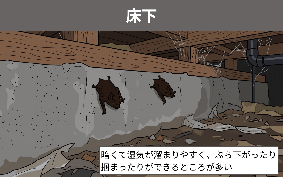 床下