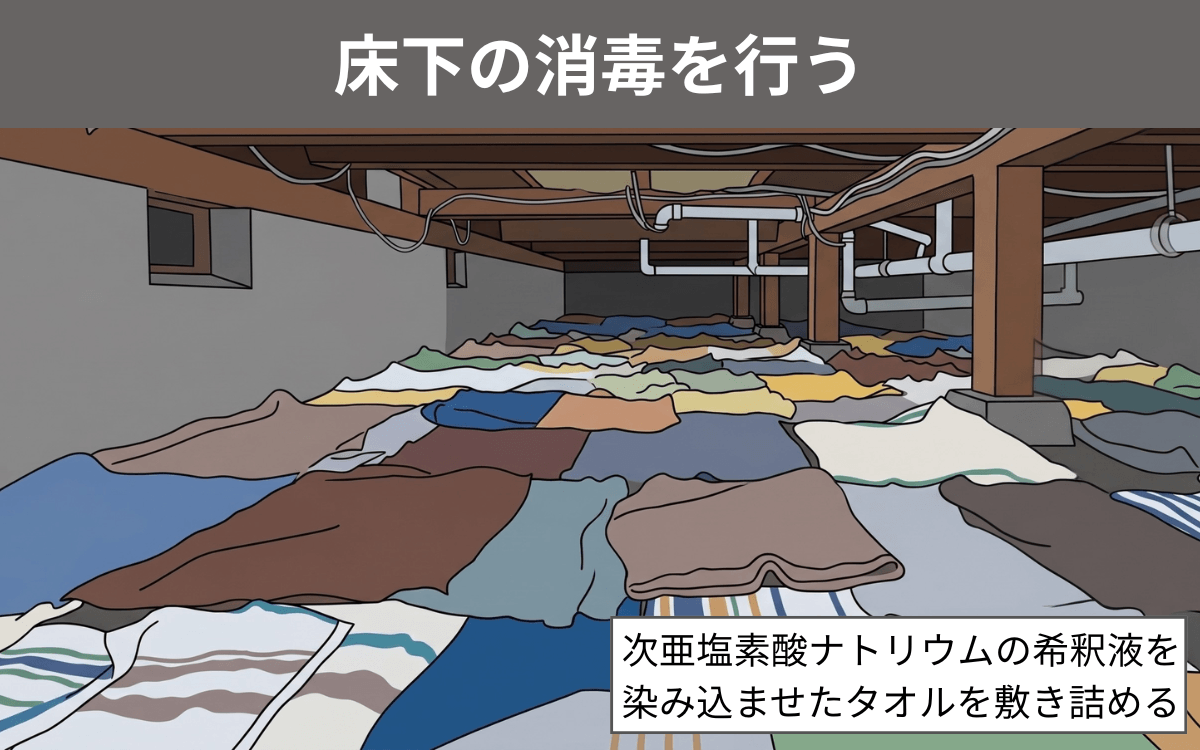 床下の消毒を行う