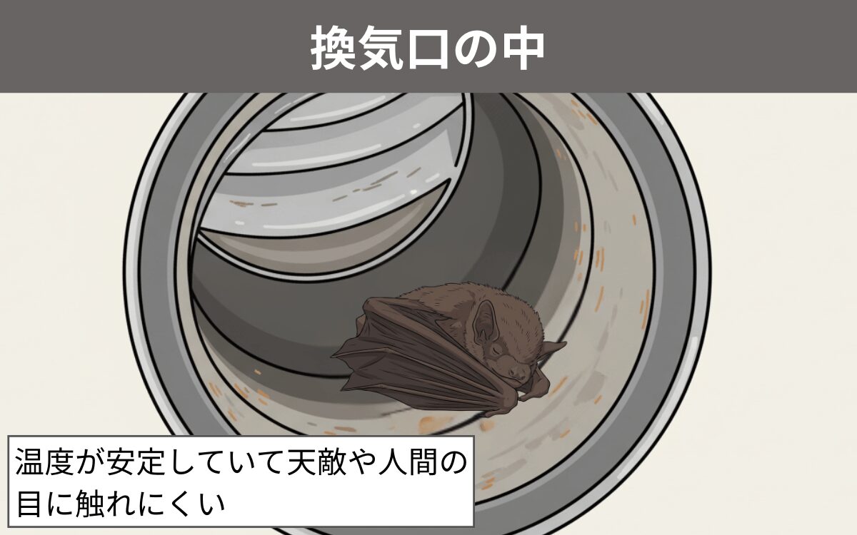 換気口の中