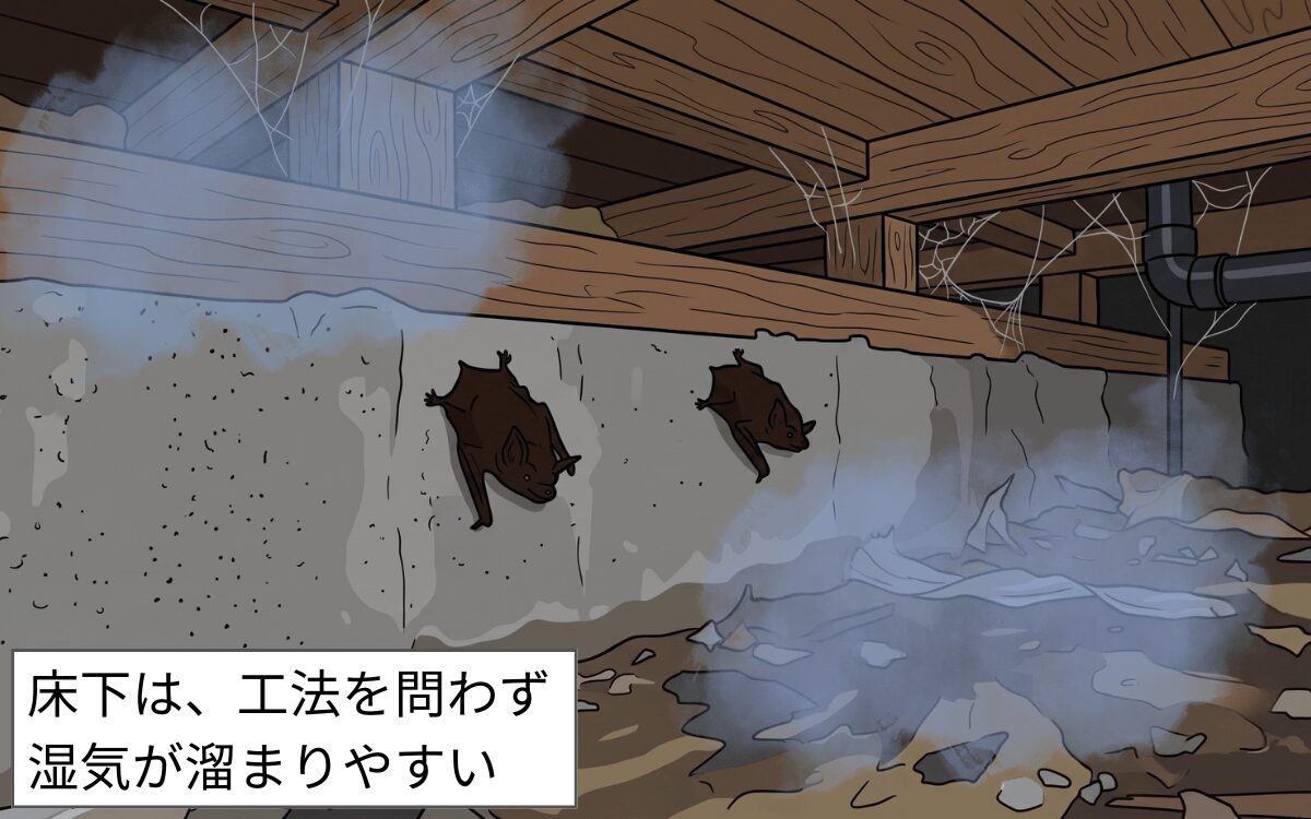 暗くてジメジメしている