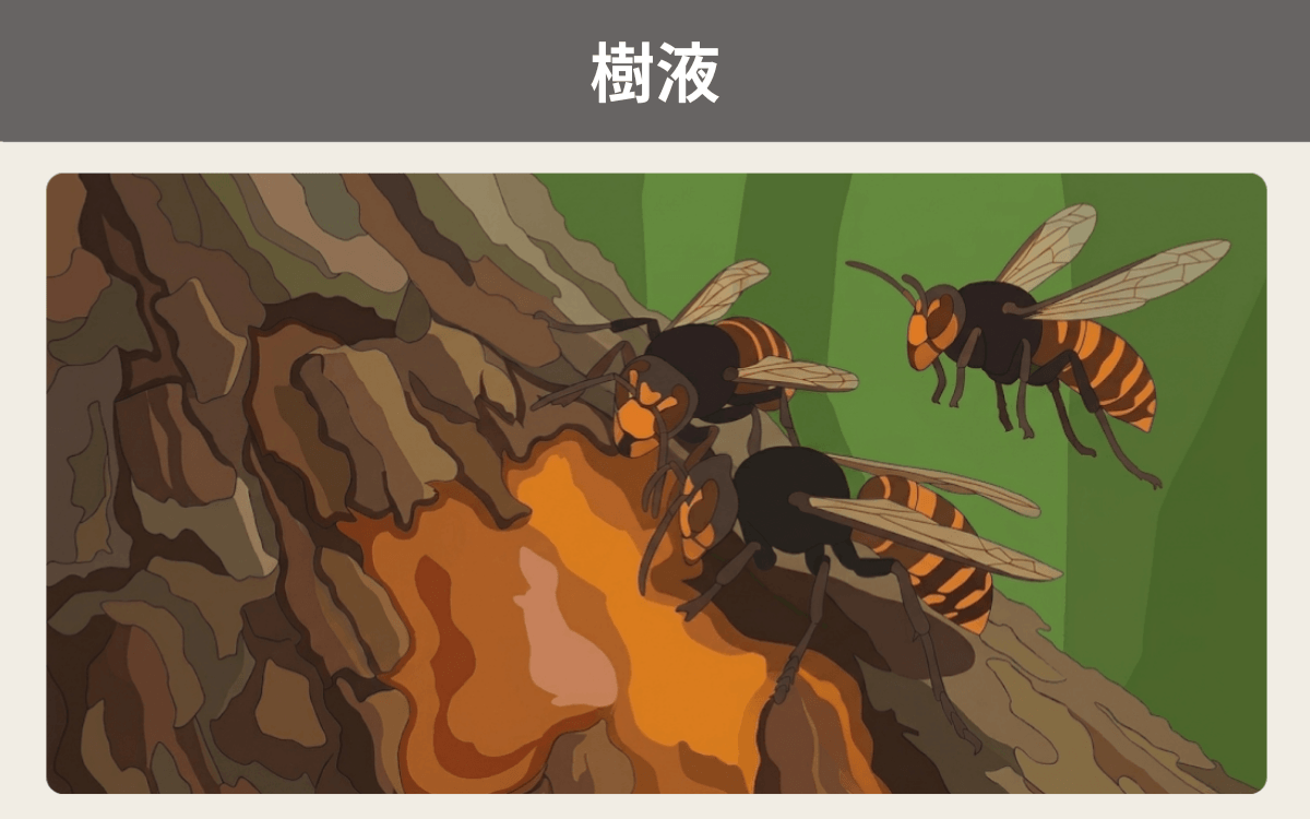 樹液