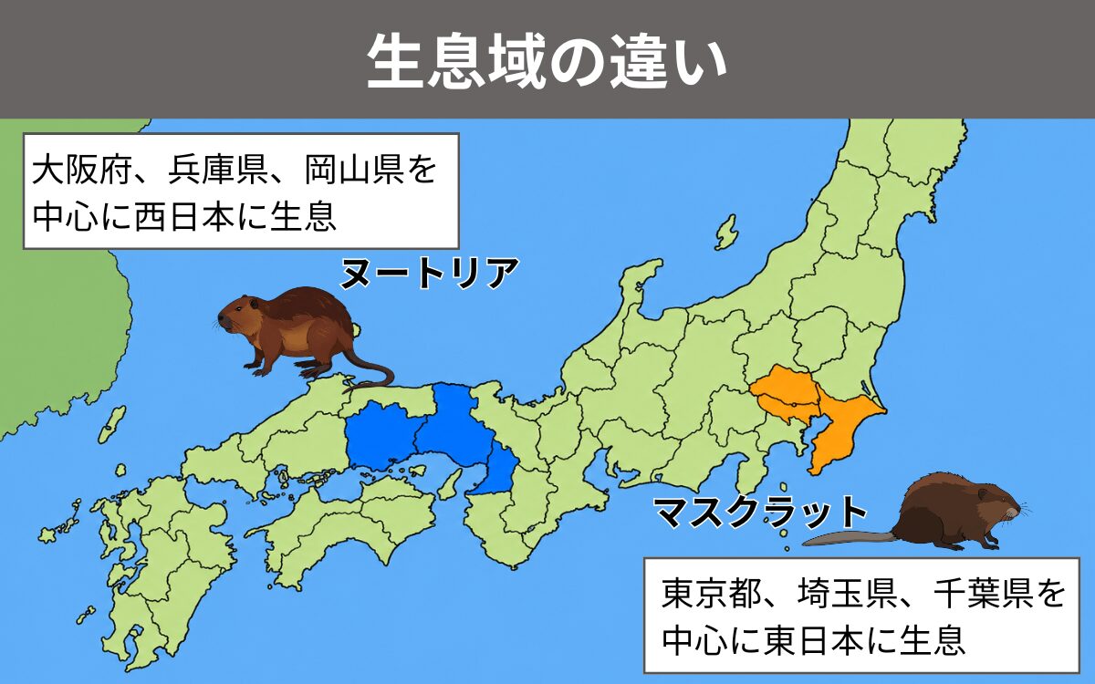 生息域の違い