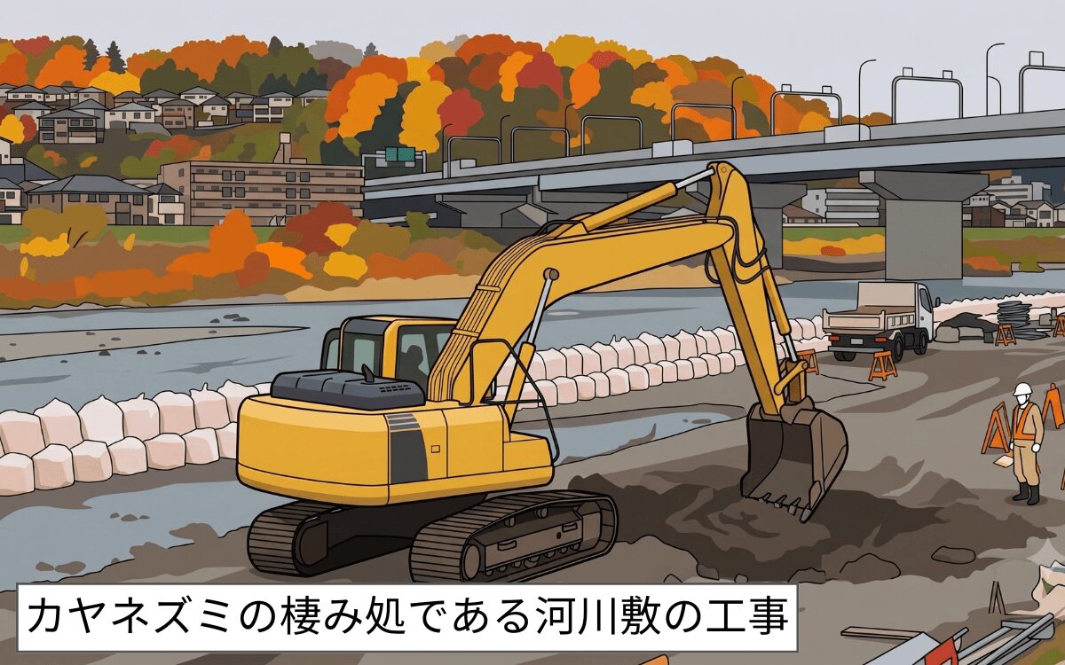 絶滅危機の原因①都市開発による草地減少