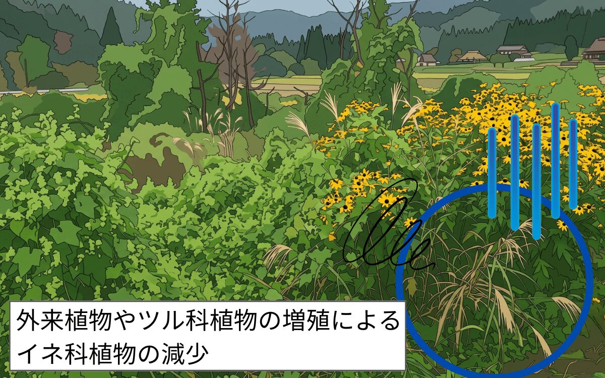 絶滅危機の原因②イネ科植物の減少