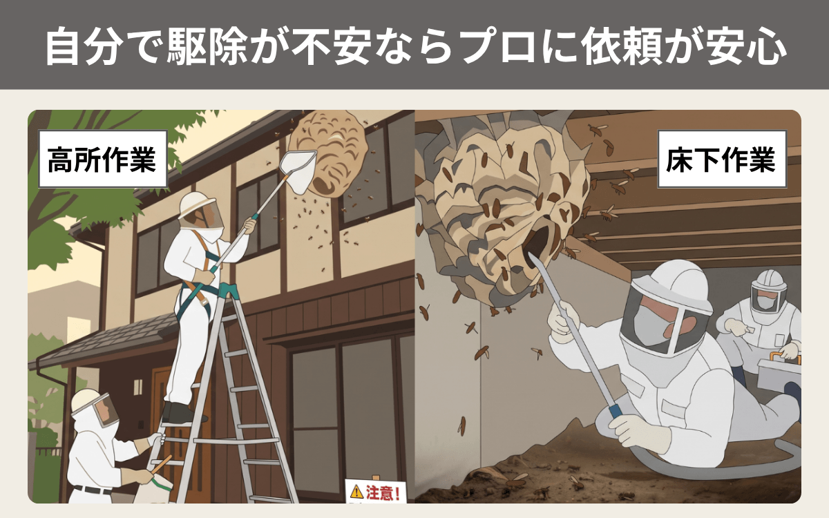 自分で駆除をするのが不安な方はプロに依頼したほうが安心 1
