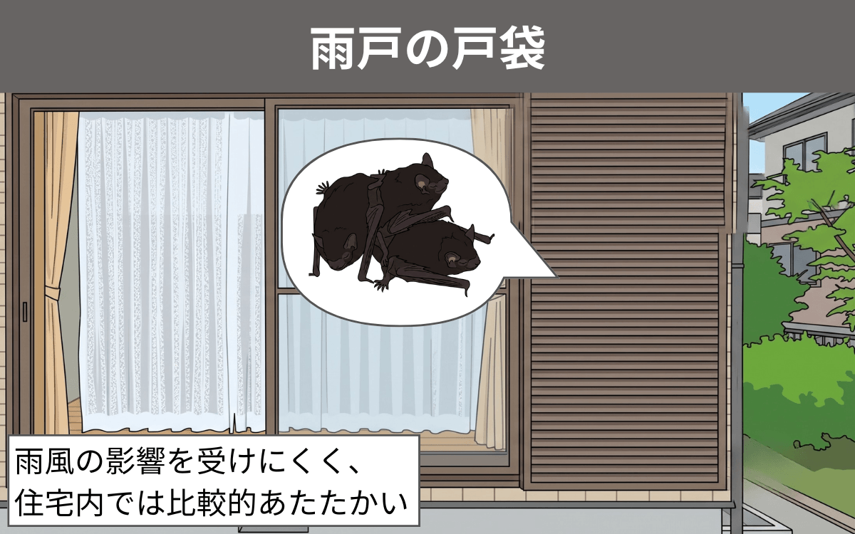 雨戸の戸袋