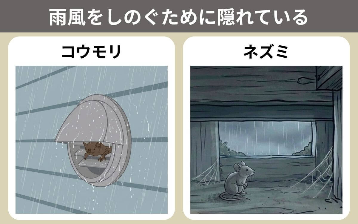 雨風をしのぐため
