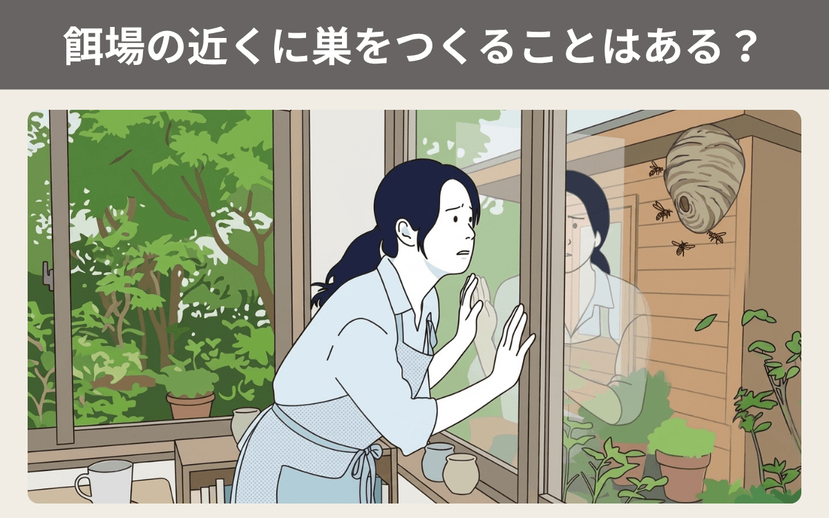 餌場の近くに巣をつくることはある？