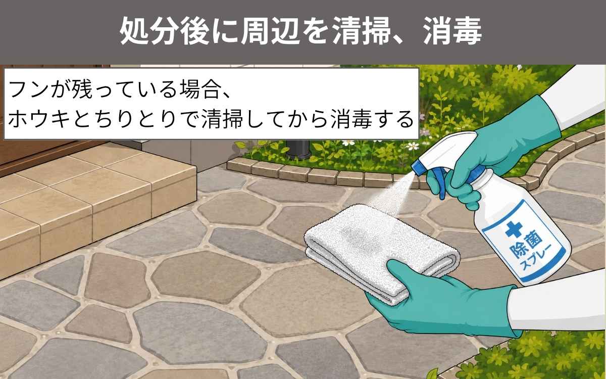 手順⑤処分後に周辺を清掃、消毒