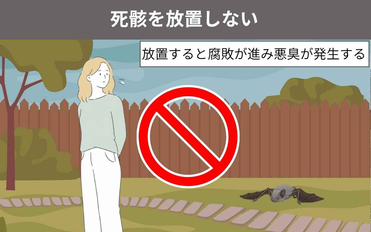 死骸を放置しない