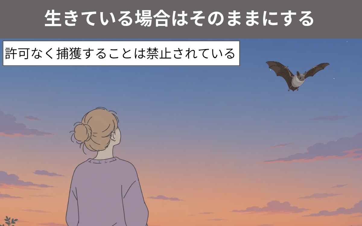 生きている場合はそのままにする