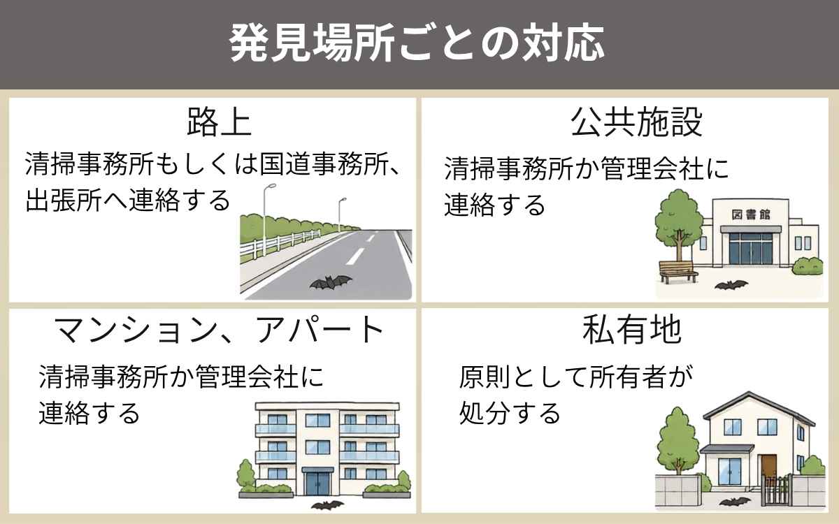 コウモリの死骸の発見場所により対応が異なる
