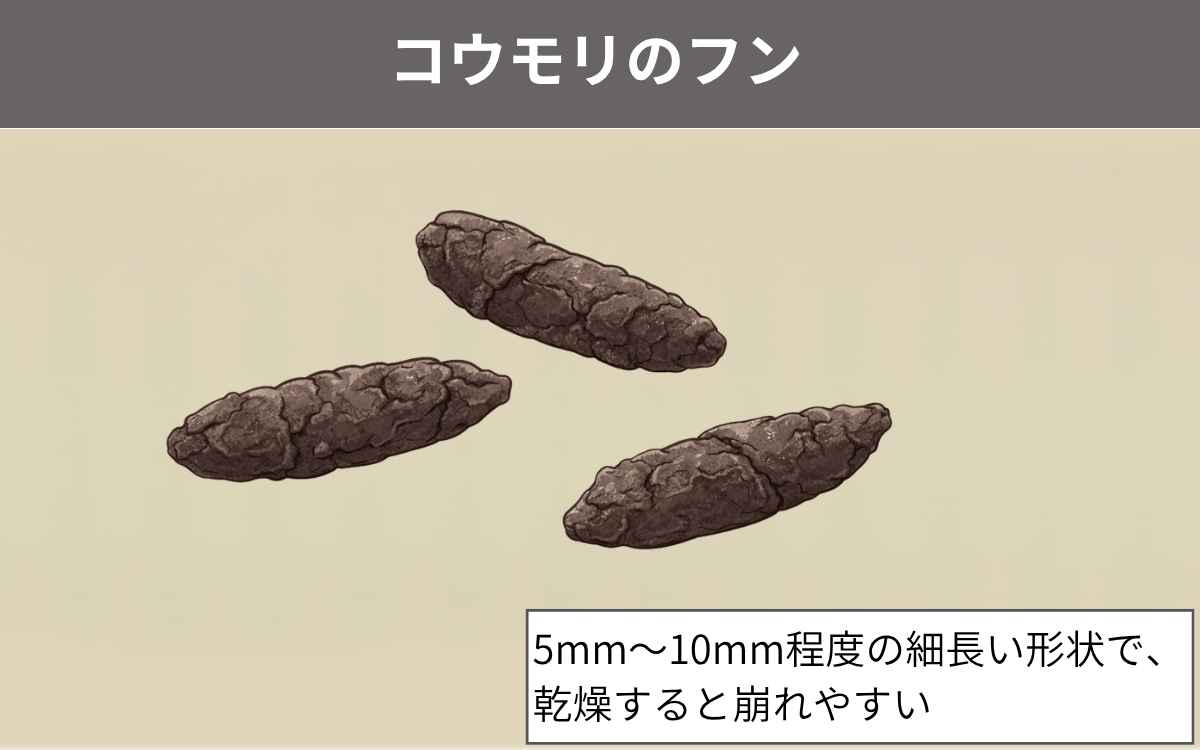 自宅の周りにフンがある