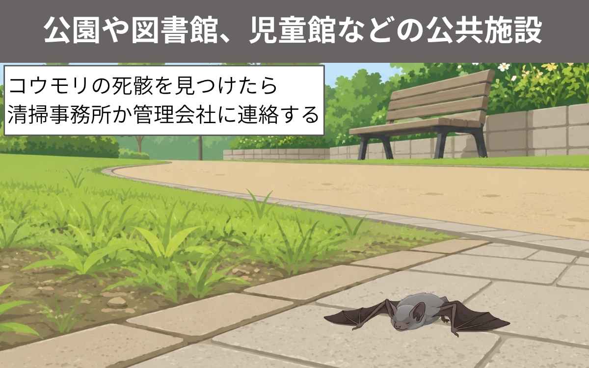 【公共施設】清掃事務所、管理会社