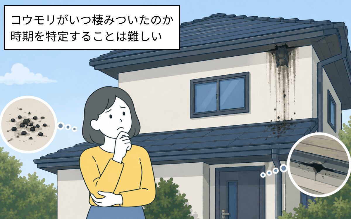 コウモリが棲みついた時期の特定は難しい