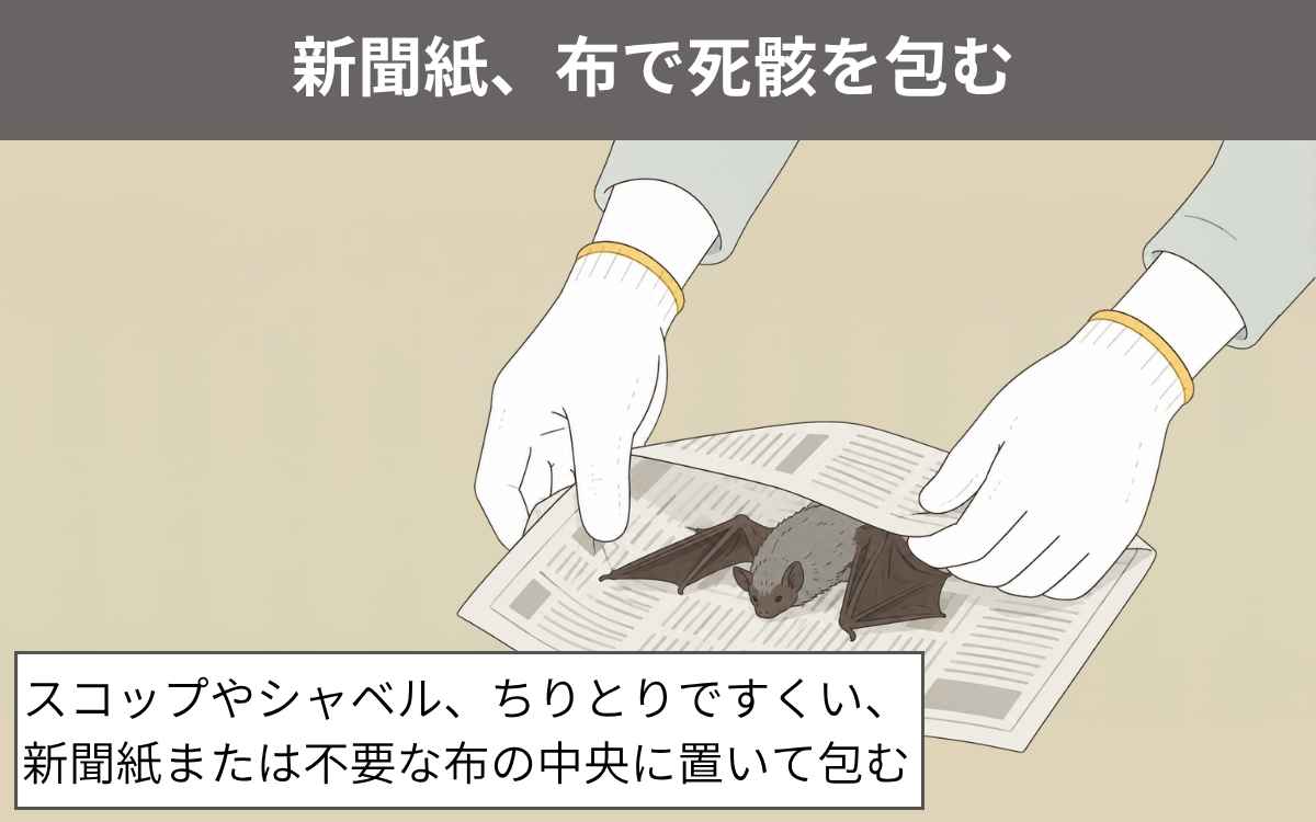 手順②新聞紙、布で死骸を包む
