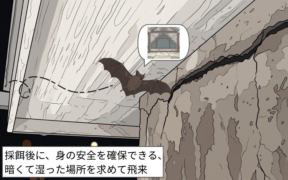ねぐらを探している