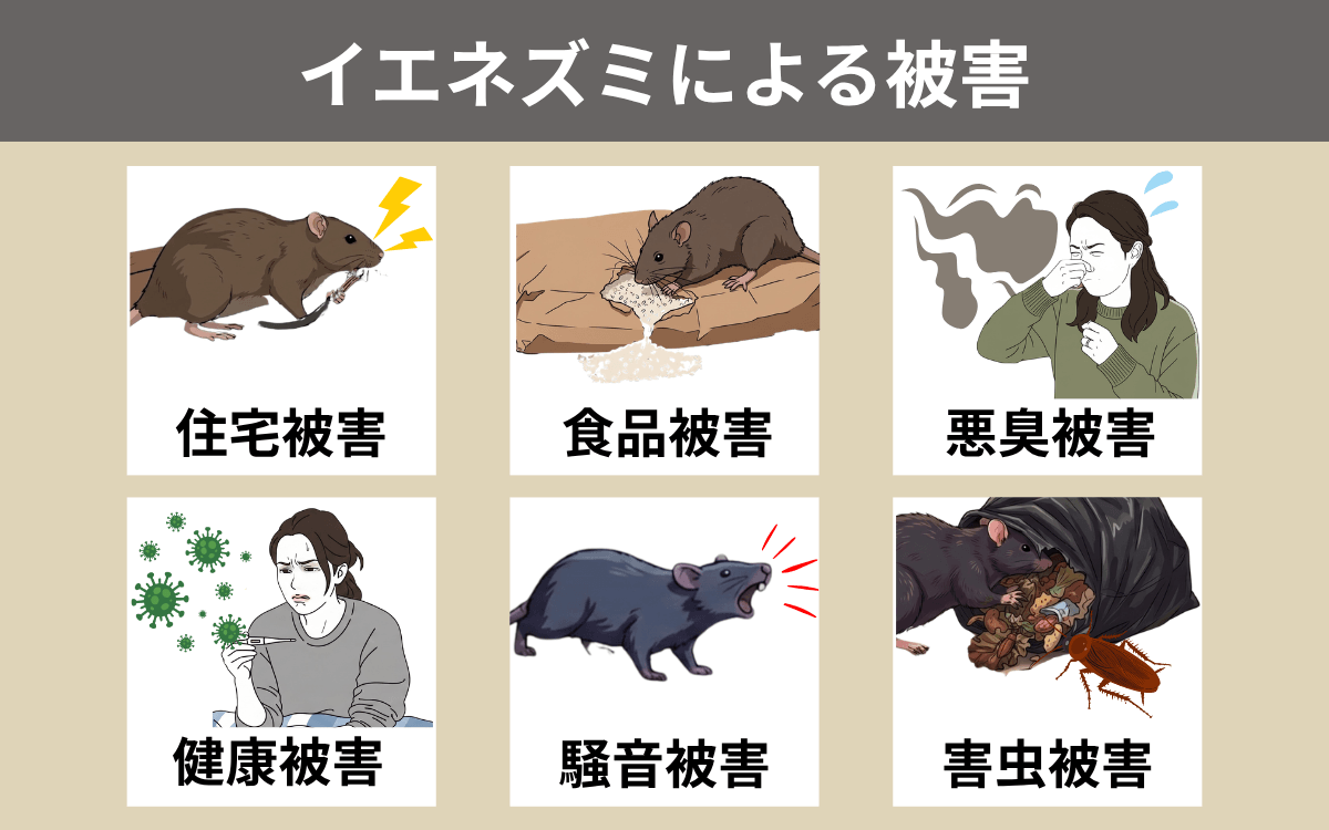 イエネズミによる被害