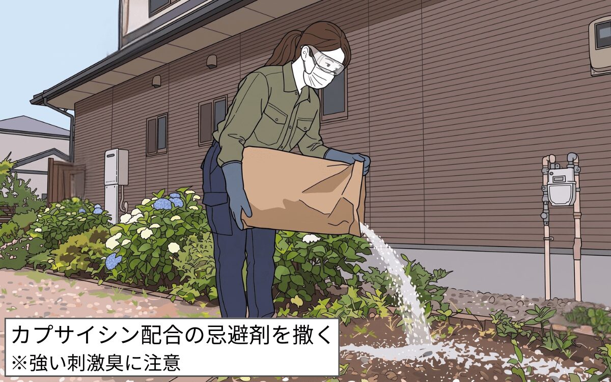 カプサイシン