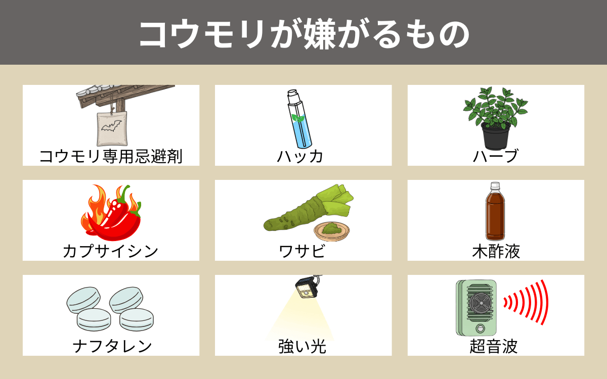 コウモリが嫌がるもの