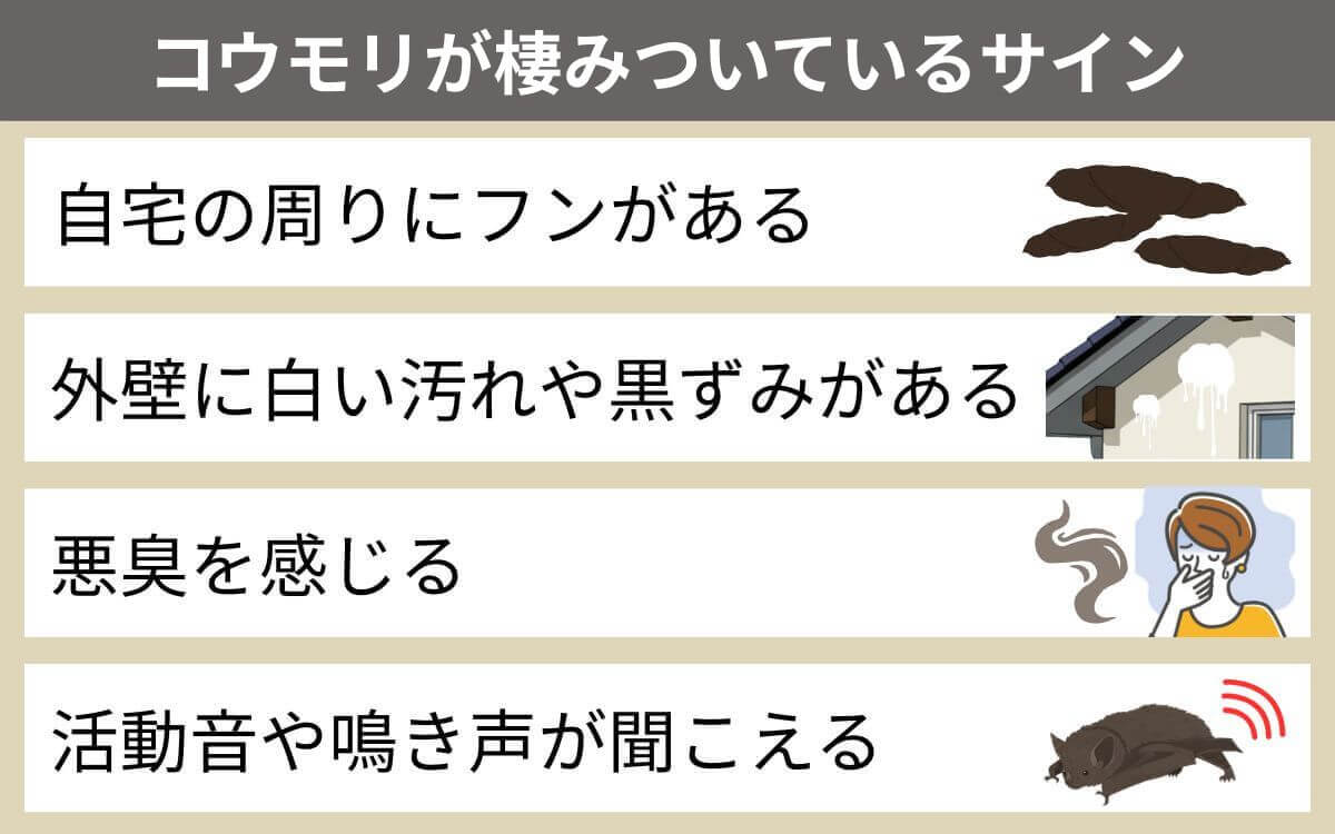 コウモリが棲みついているサイン