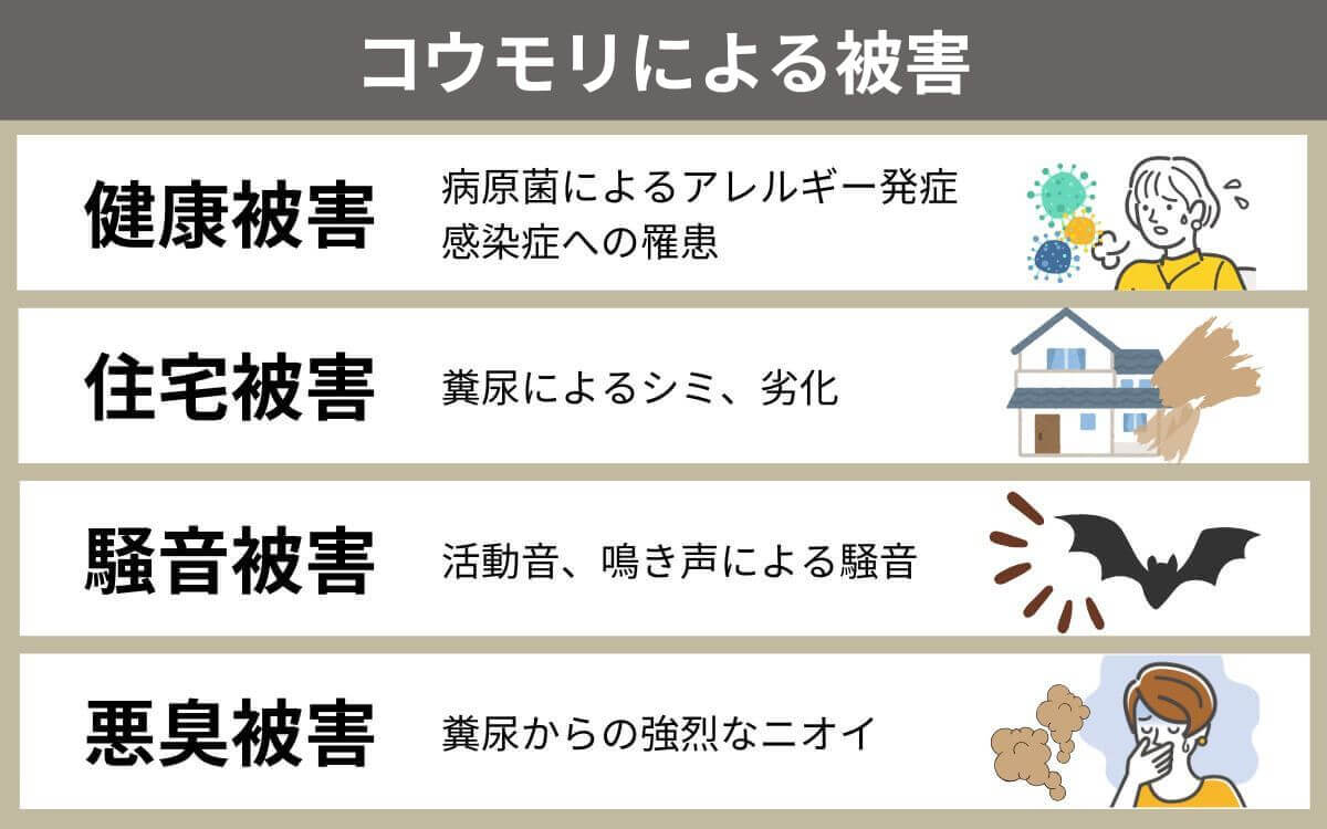 コウモリによる被害