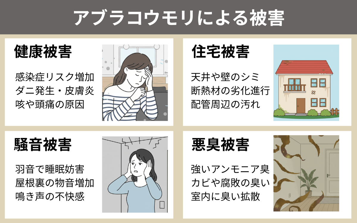 コウモリによる被害一覧