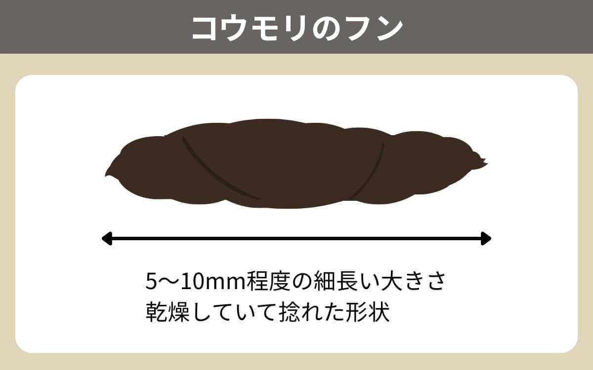 コウモリのフン