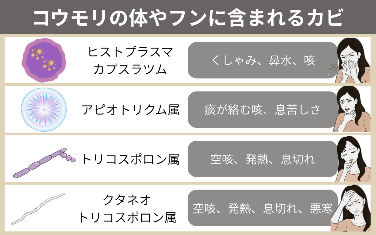 コウモリの体やフンに含まれるカビ